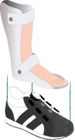 orthotic